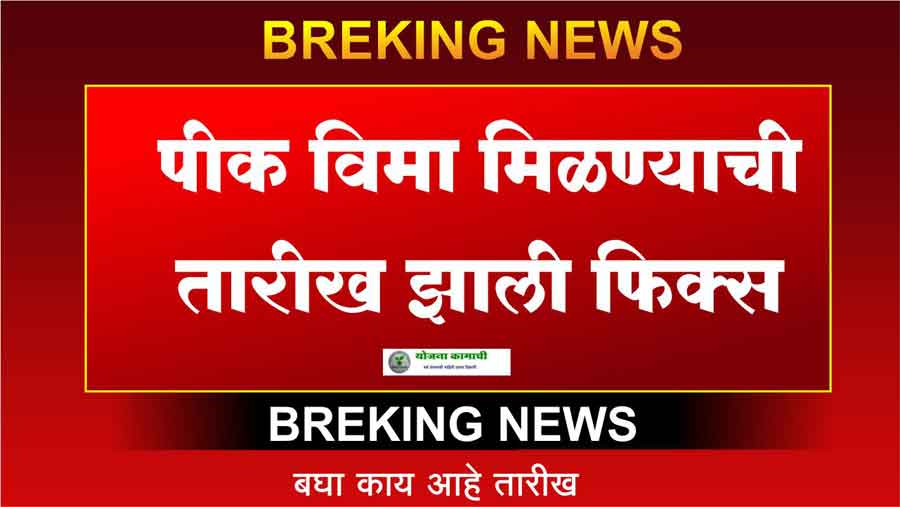 उद्यापासून सरसकट शेतकऱ्यांच्या बँक खात्यात जमा होणार पिक विमा Crop insurance 2024