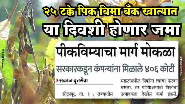 खरीप रब्बी पीक  विमा शेतकऱ्यांच्या खात्यात उद्या जमा हेक्टरी मिळणार 24000 हजार रुपये Rabi crop insurance