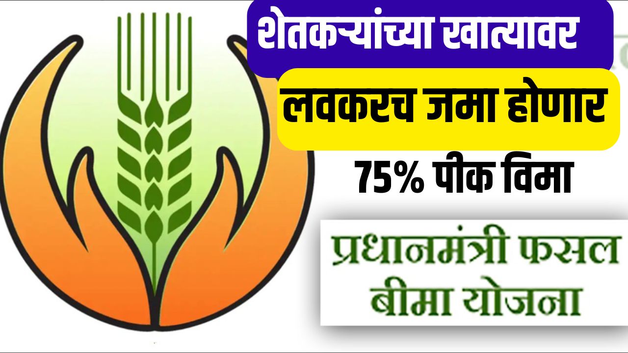 16 जिल्ह्यात पीक विमा मंजूर शेतकऱ्यांना या दिवशी मिळणार 25,000 हजार approved crop insurance